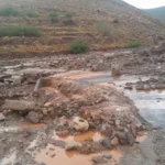 سيول